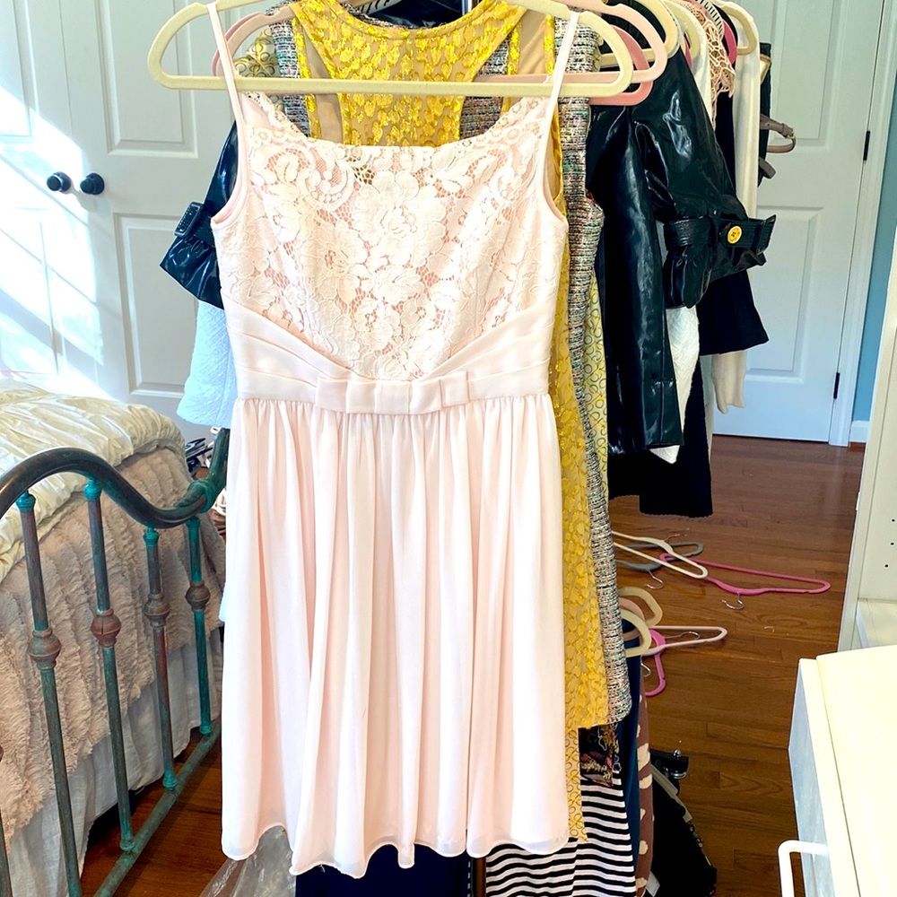 Ted Baker Blush Pink Lace Pleated Fit & Flare Dress Size 4